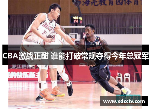 CBA激战正酣 谁能打破常规夺得今年总冠军