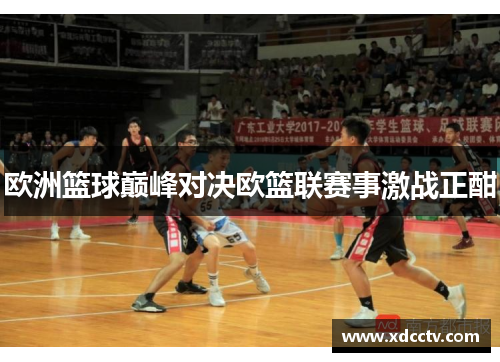 欧洲篮球巅峰对决欧篮联赛事激战正酣